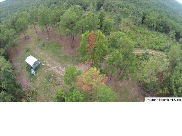 1900 Pepper Road, Unit 55 AC Ashland, AL 36251 - Photo 5 of 20