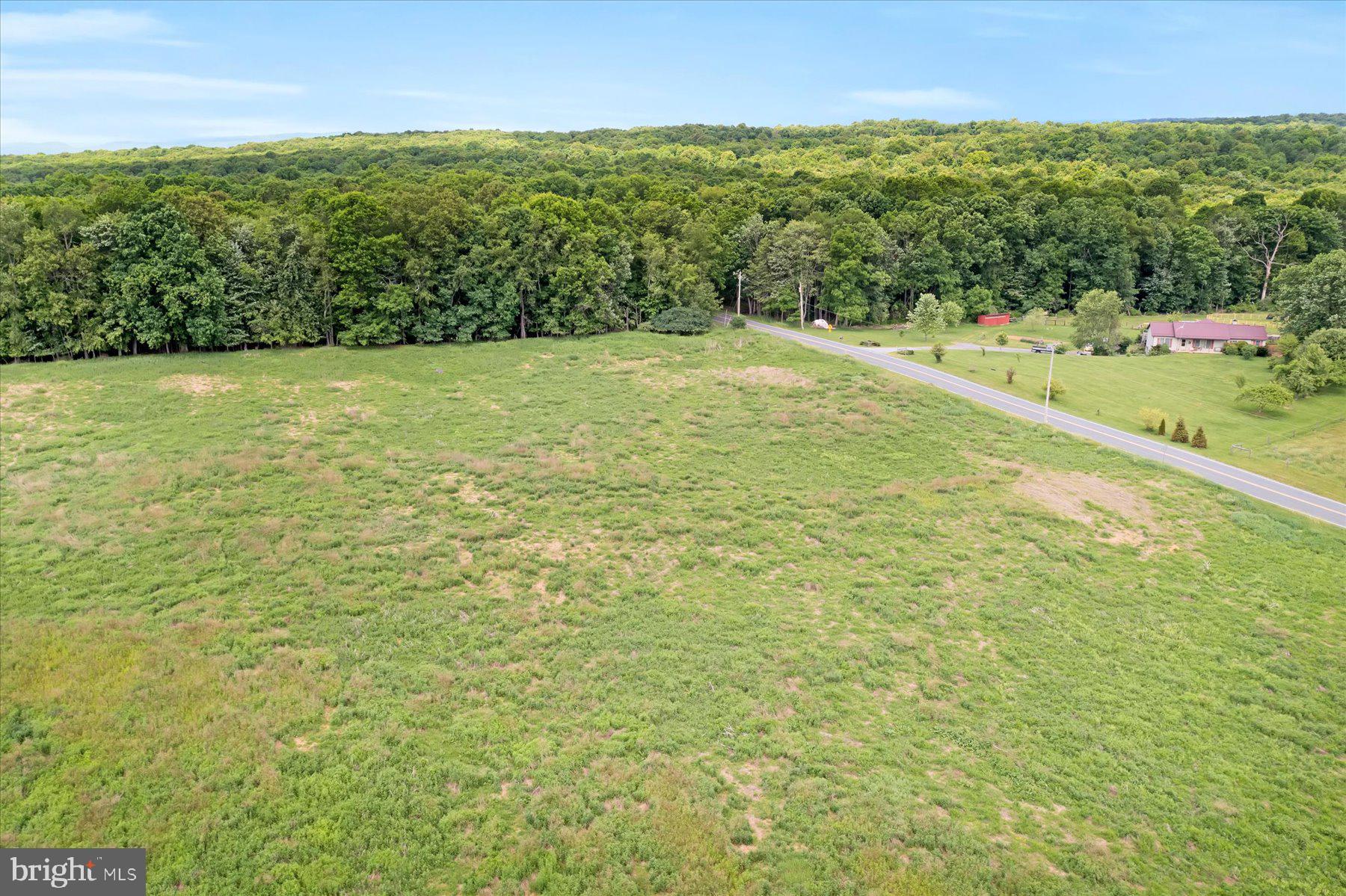 786 Dry Hollow Road Warriors Mark, PA 16877 - Photo 6 of 16