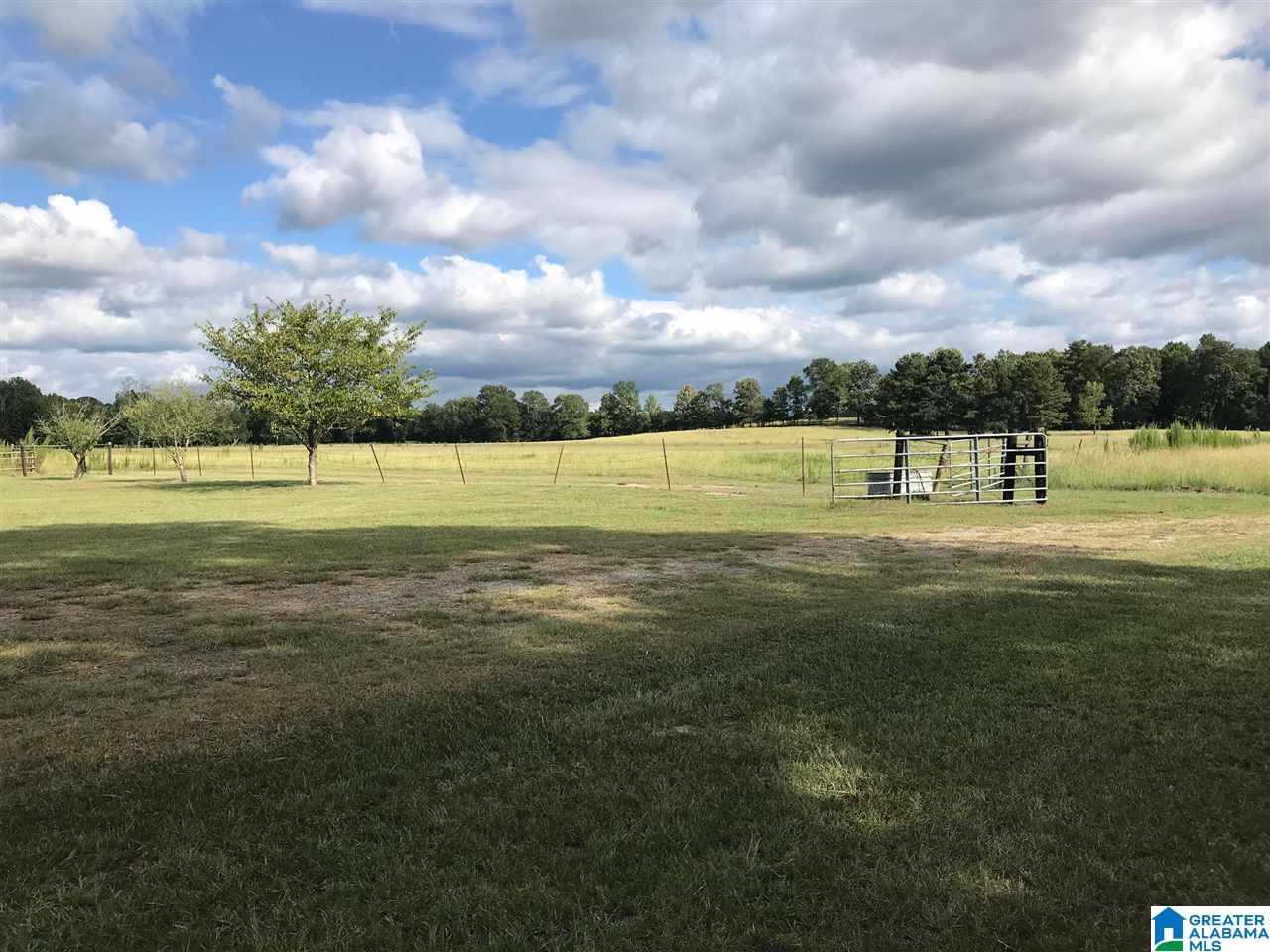 390 Limbaugh Road Sylacauga, AL 35150 - Photo 4 of 39