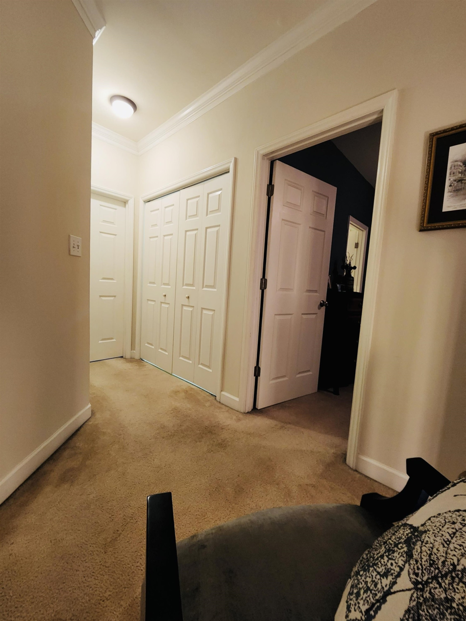 5403 Goldenglow Way Raleigh, NC 27606 - Photo 15 of 19 Photo 15