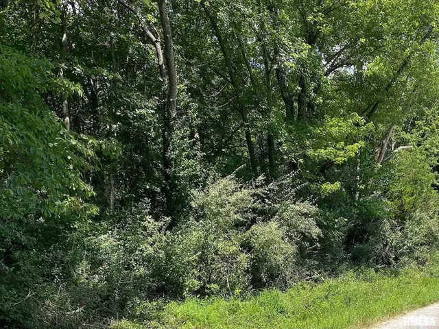 $25,750 | 0 4th Street, Bluford, IL 62814