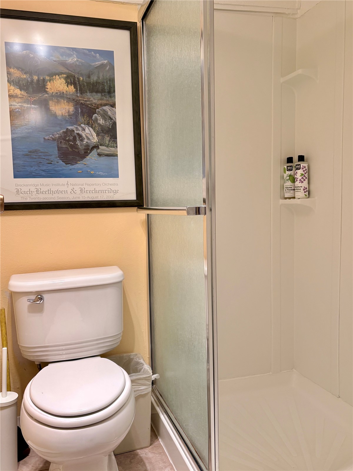 78 Guller Road, Unit 303 Copper Mountain, CO 80443 - Photo 17 of 43 a white toilet sitting next to a shower
