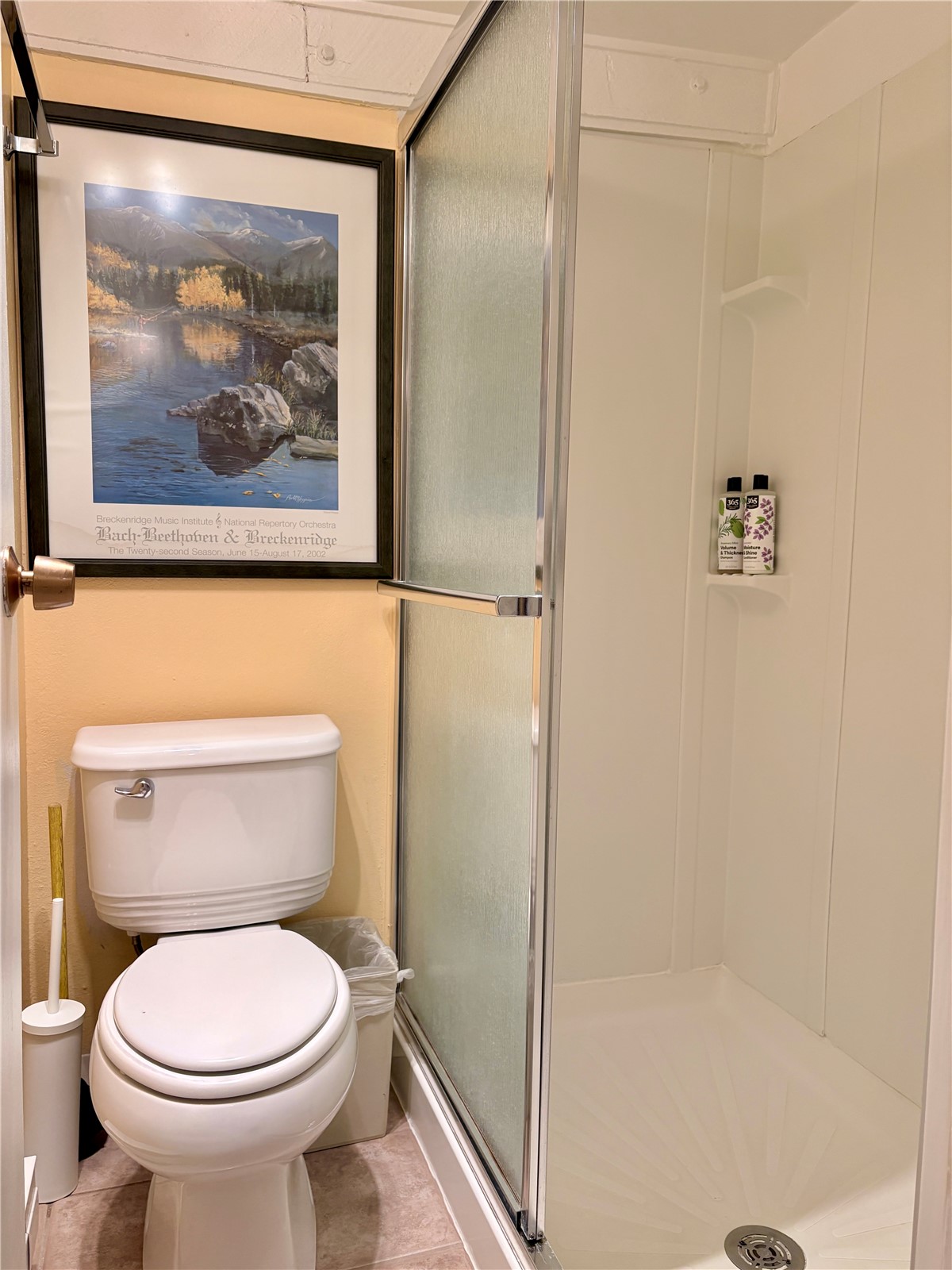 78 Guller Road, Unit 303 Copper Mountain, CO 80443 - Photo 18 of 43 a bathroom with a toilet and a shower