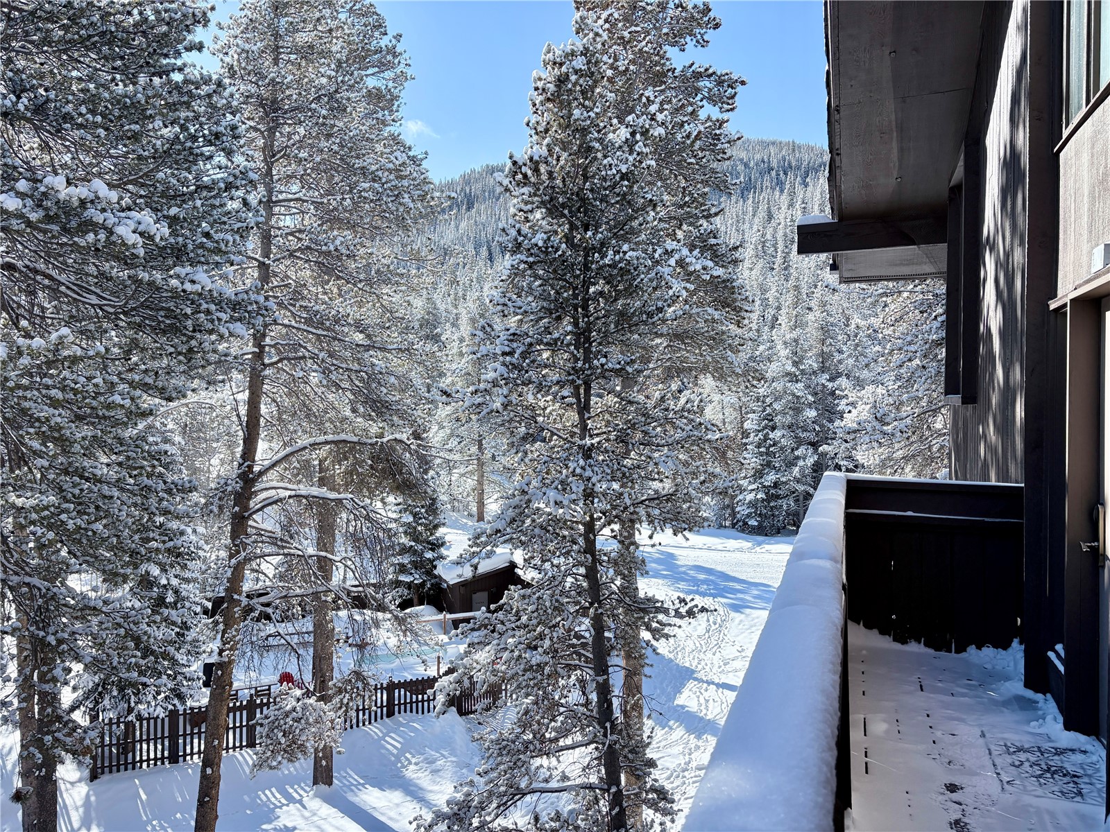 78 Guller Road, Unit 303 Copper Mountain, CO 80443 - Photo 33 of 43 a picture of trees