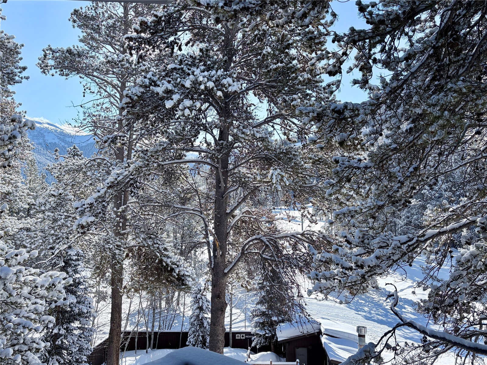 78 Guller Road, Unit 303 Copper Mountain, CO 80443 - Photo 35 of 43