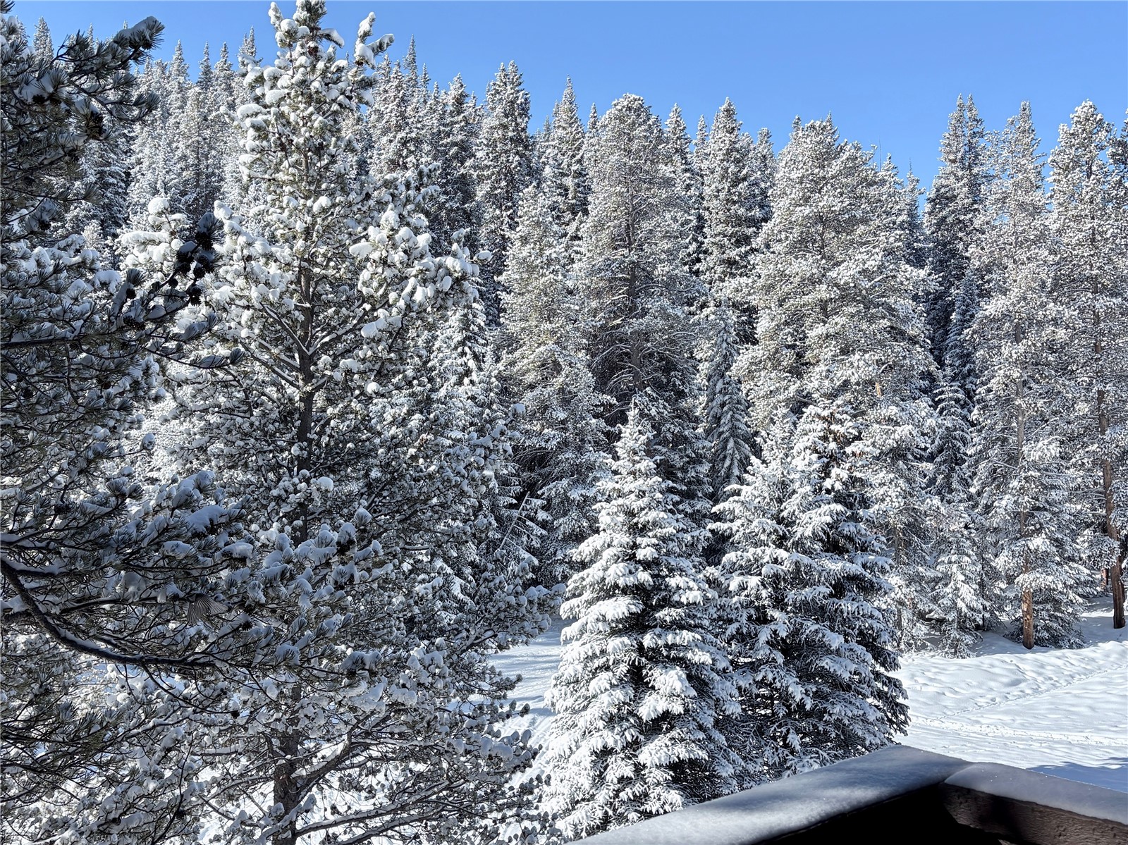 78 Guller Road, Unit 303 Copper Mountain, CO 80443 - Photo 37 of 43