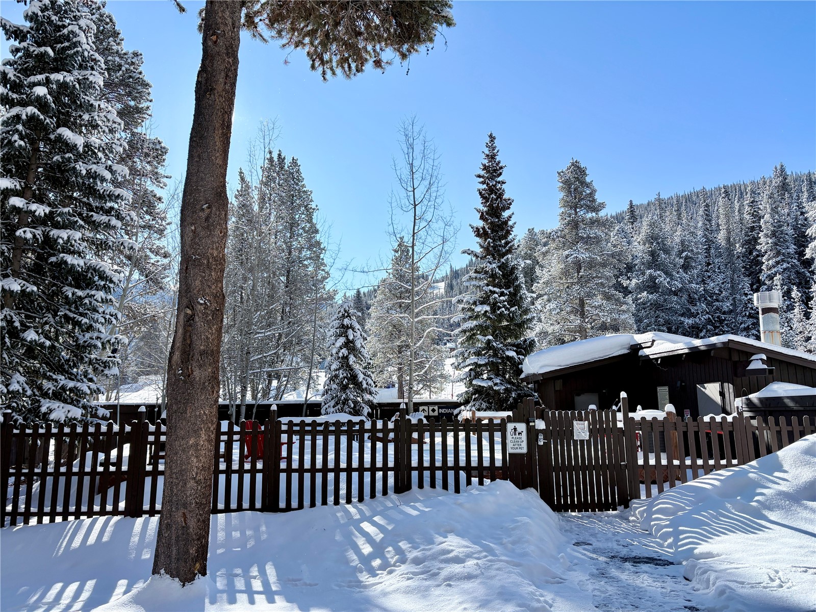 78 Guller Road, Unit 303 Copper Mountain, CO 80443 - Photo 38 of 43 a view of a wooden bridge with trees in the background