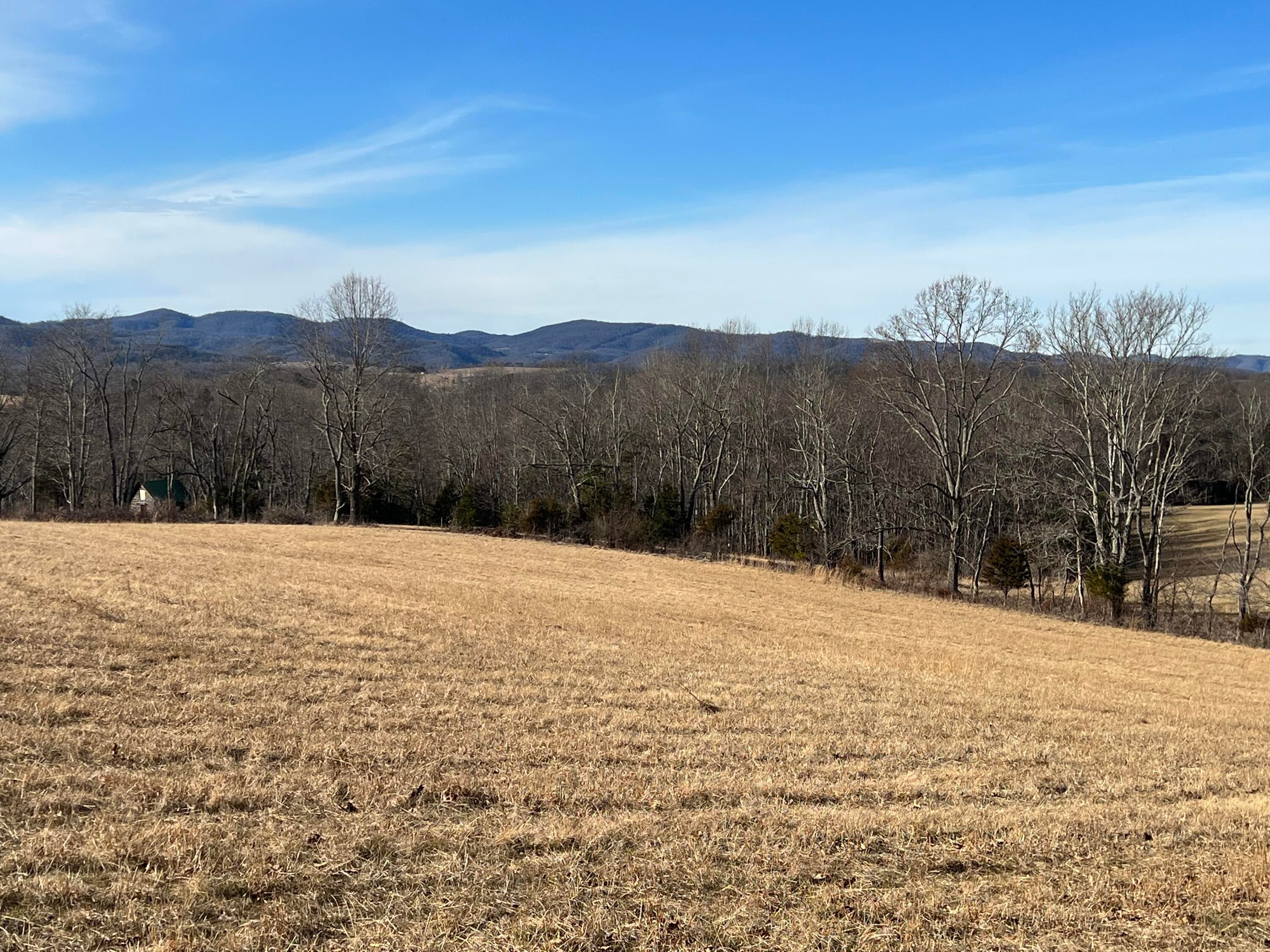 36 Sky Farm Road Ballard, WV 24918 - Photo 5 of 7 Gallery Image 5