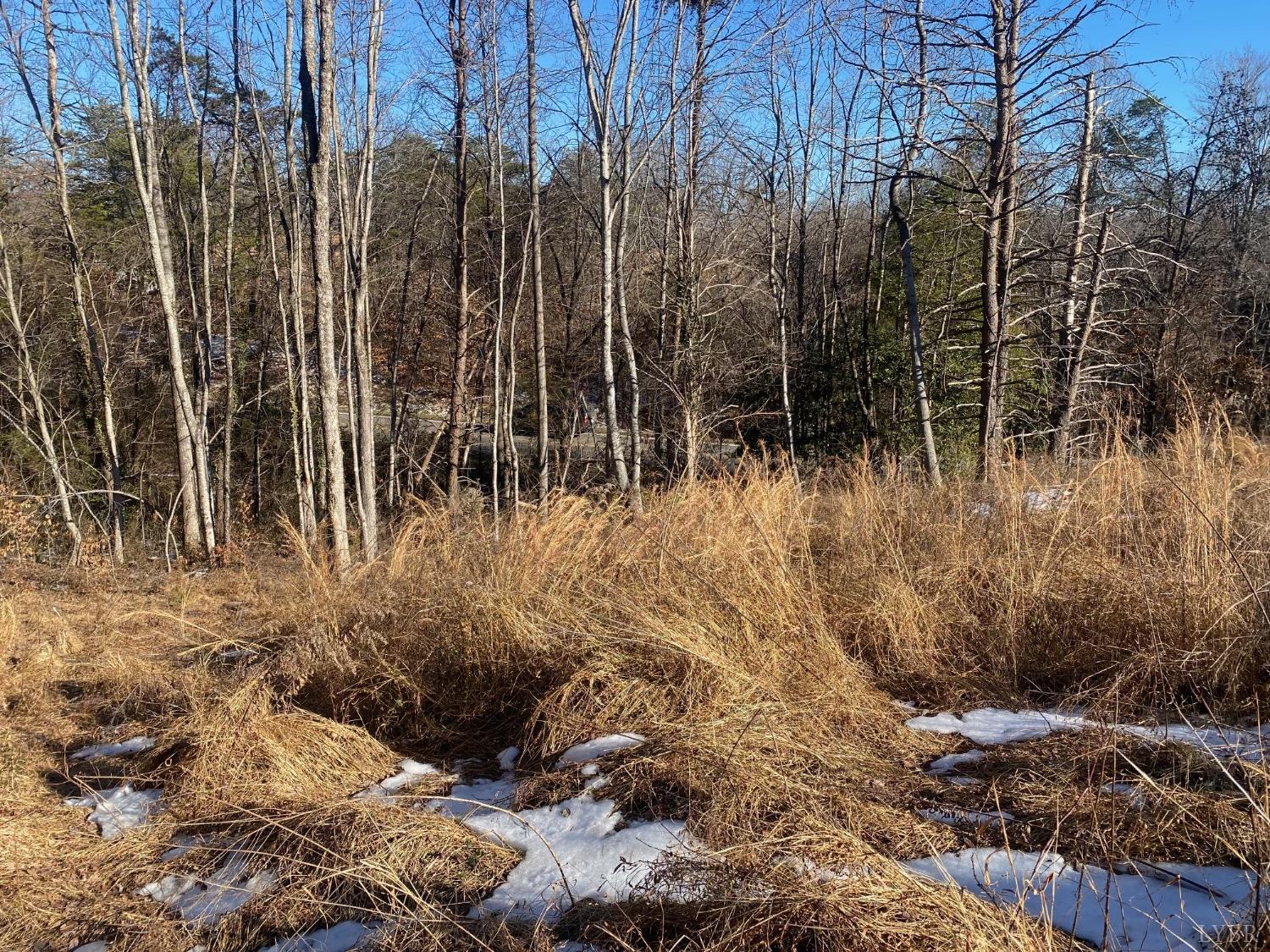 0 Wright Shop Road Madison Heights, VA 24572 - Photo 1 of 5 a view of backyard with potted plants and large trees