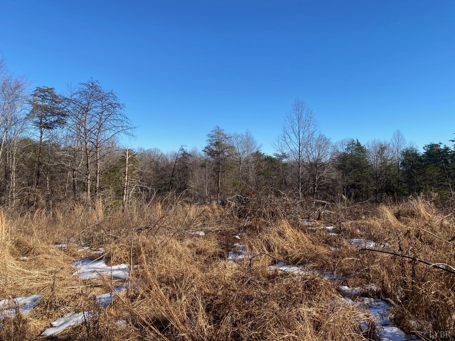 0 Wright Shop Road Madison Heights, VA 24572 - Photo 2 of 5 a view of a yard with a tree