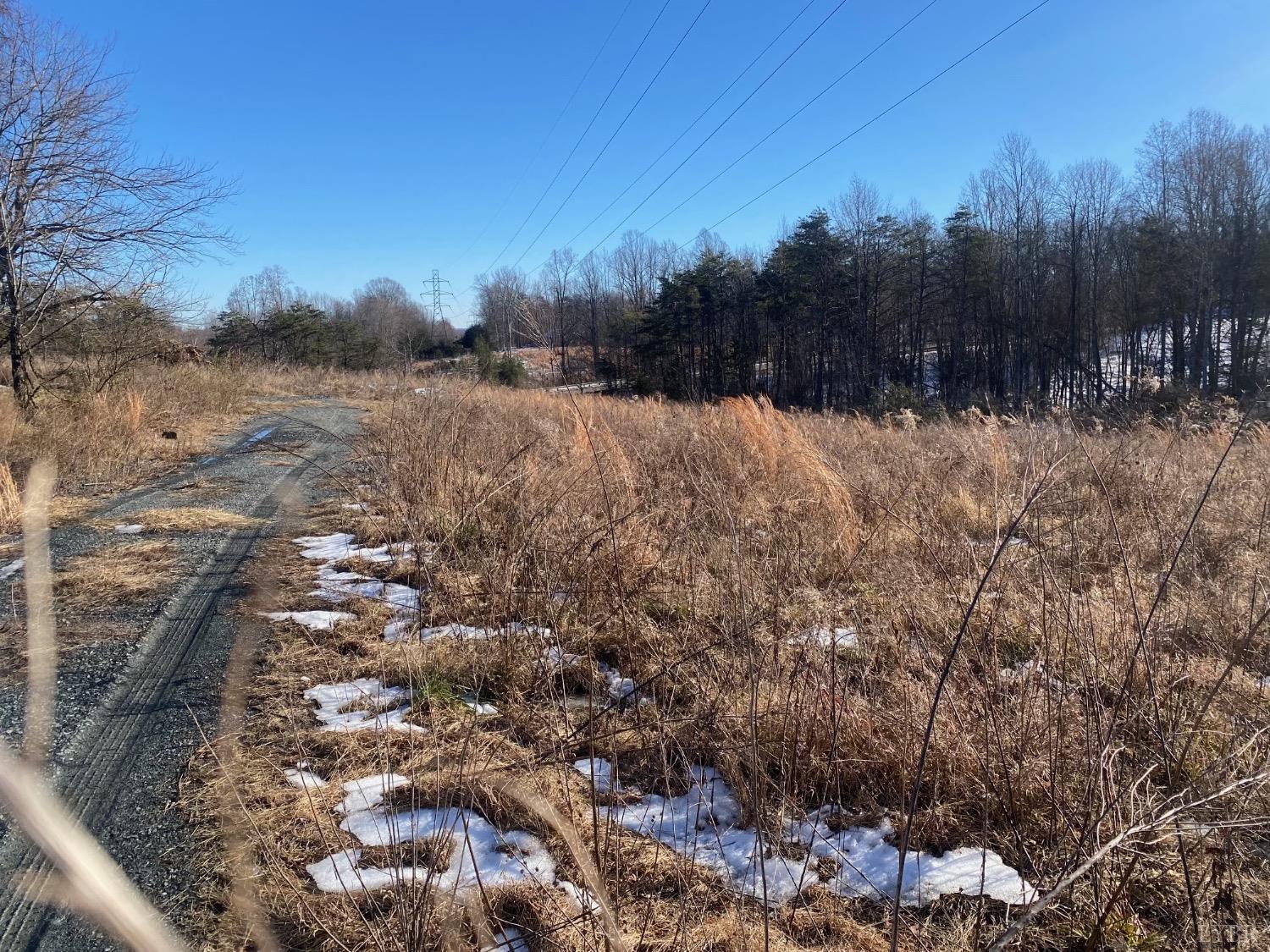 0 Wright Shop Road Madison Heights, VA 24572 - Photo 3 of 5 a view of a dry yard with trees