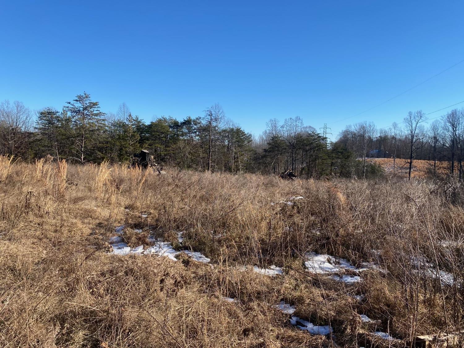 0 Wright Shop Road Madison Heights, VA 24572 - Photo 4 of 5 a view of lake with green space