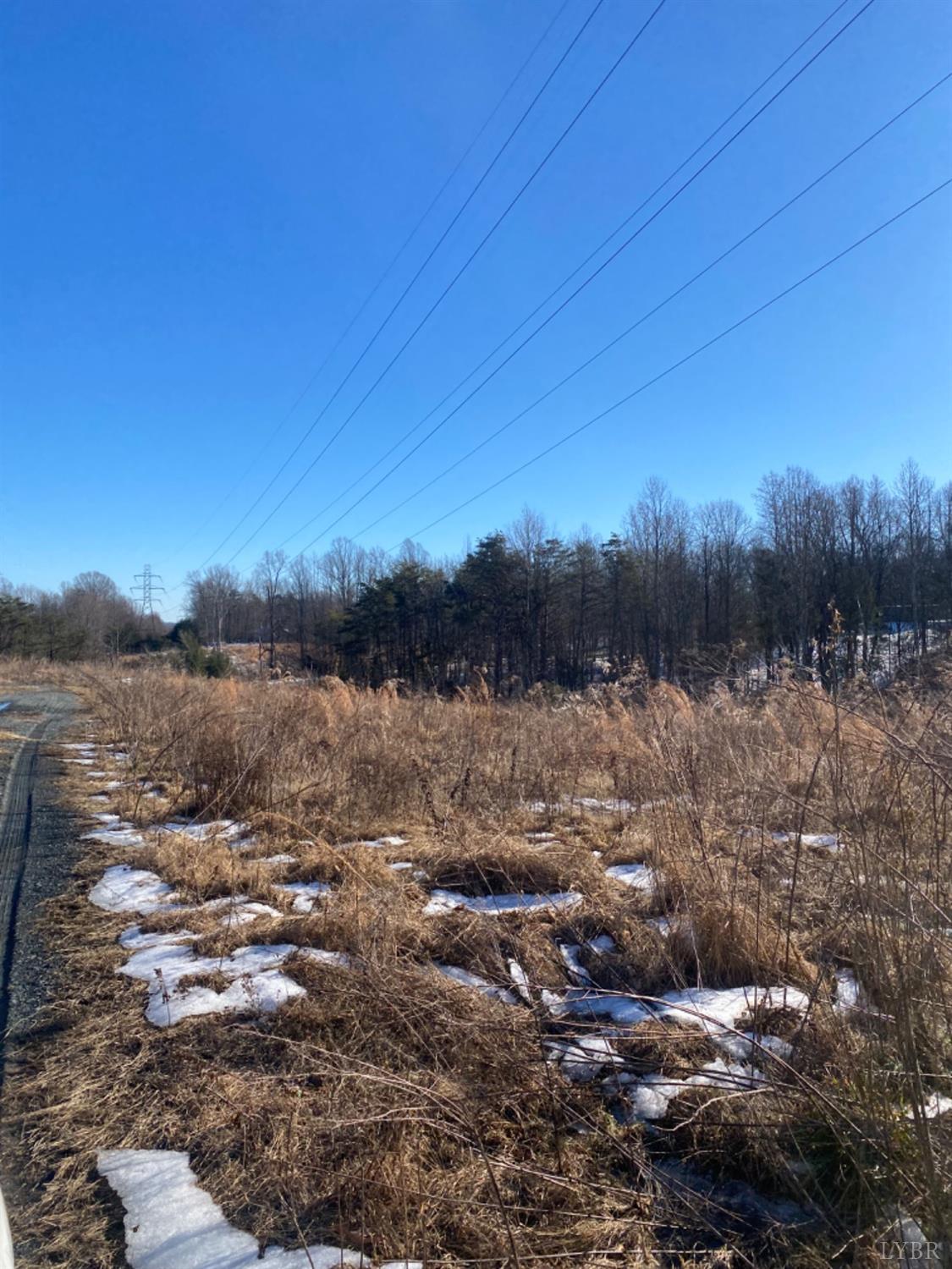 0 Wright Shop Road Madison Heights, VA 24572 - Photo 5 of 5 a view of a town with large trees