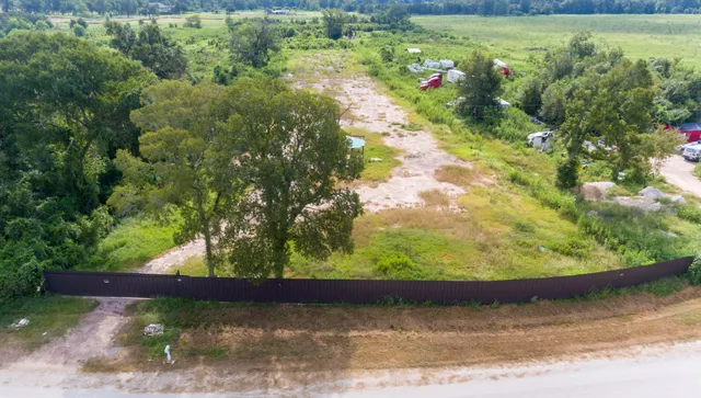 a view of plant in middle of garden