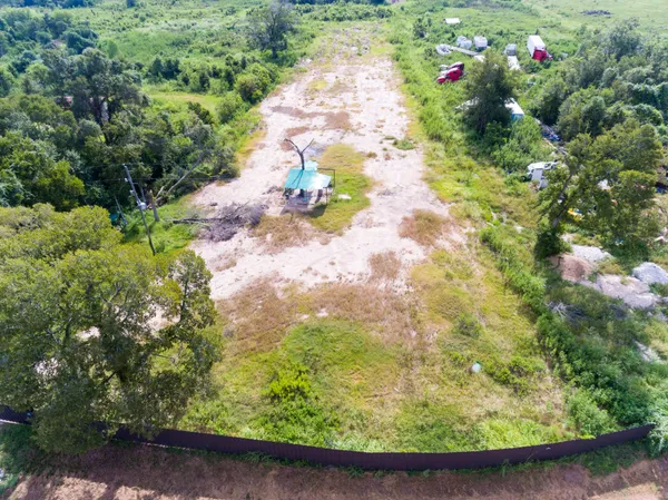 a view of a yard with plants and large trees