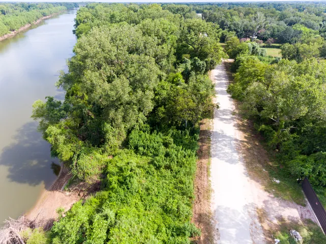 a picture of flowers in front of a glass door