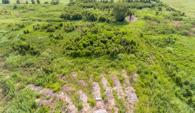 a view of a big yard of the house