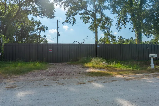 a view of backyard and tree