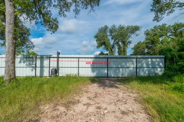 a view of a garden with a bench in the background
