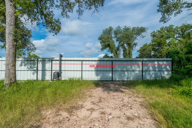 a view of a garden with a bench in the background