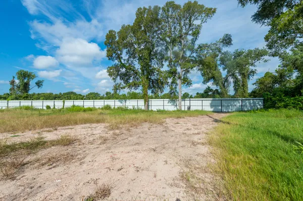 a view of a park with large trees