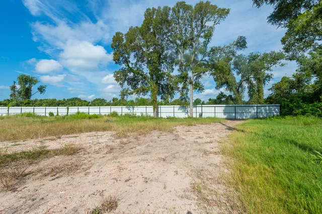 a view of a park with large trees