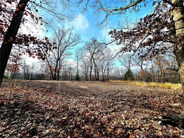 $30,000 | Tbd Echo Valley Road, Rocky Mount, MO 65072