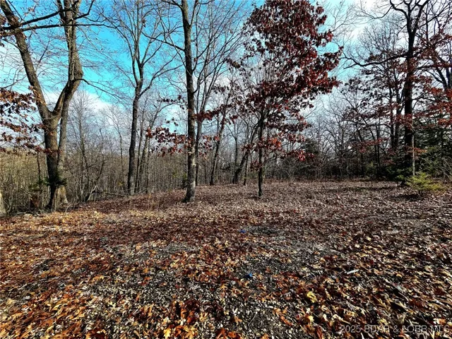 $30,000 | Tbd Echo Valley Road, Rocky Mount, MO 65072