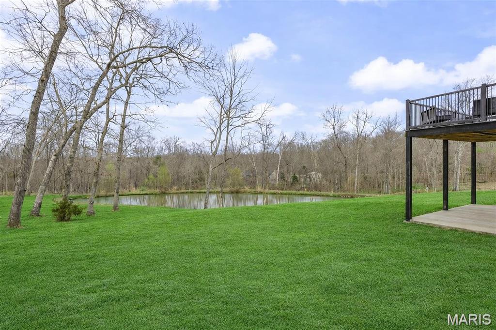 4095 Saddle Wood Road De Soto, MO 63020 - Photo 3 of 50