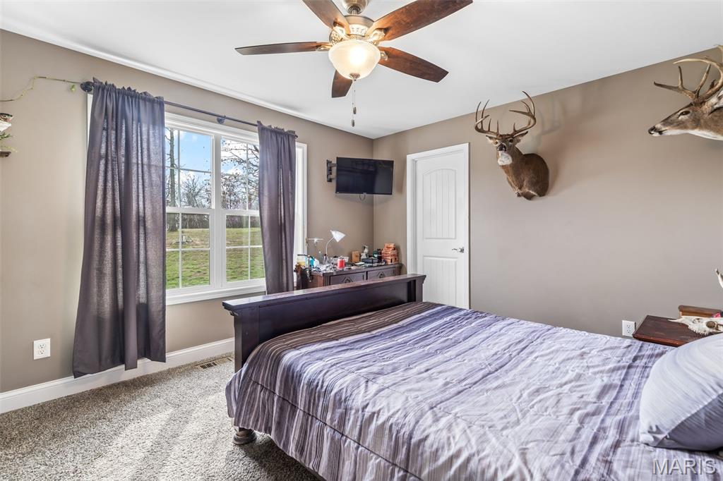 4095 Saddle Wood Road De Soto, MO 63020 - Photo 40 of 50