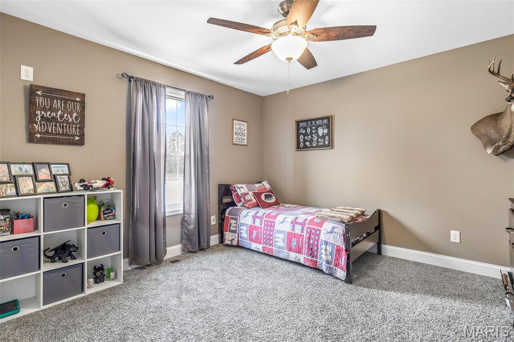 4095 Saddle Wood Road De Soto, MO 63020 - Photo 42 of 50
