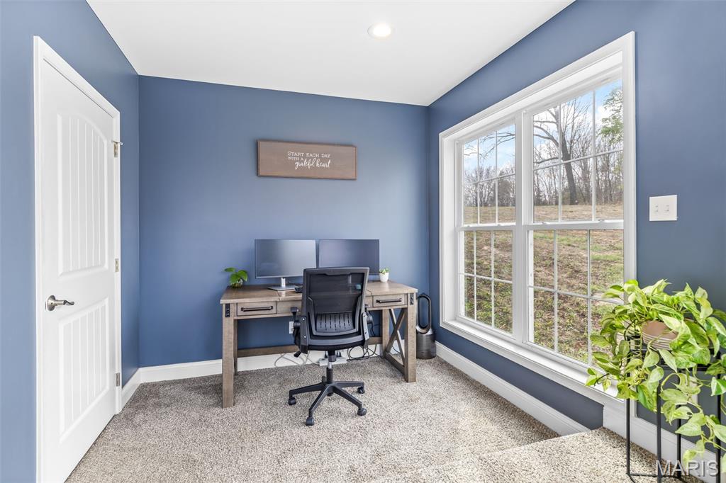 4095 Saddle Wood Road De Soto, MO 63020 - Photo 46 of 50