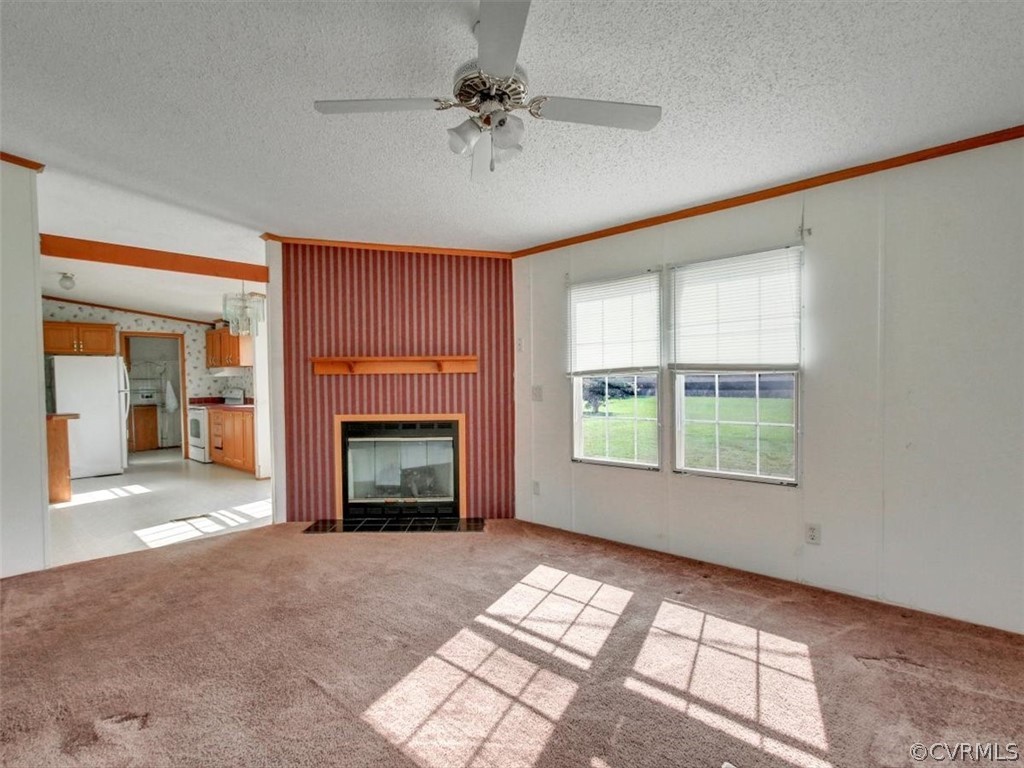 1225 Lebanon Road Spring Grove, VA 23881 - Photo 16 of 26 Gallery Image 16
