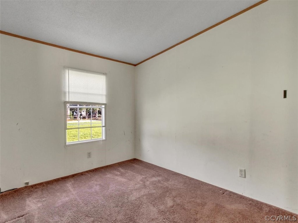 1225 Lebanon Road Spring Grove, VA 23881 - Photo 18 of 26 Gallery Image 18