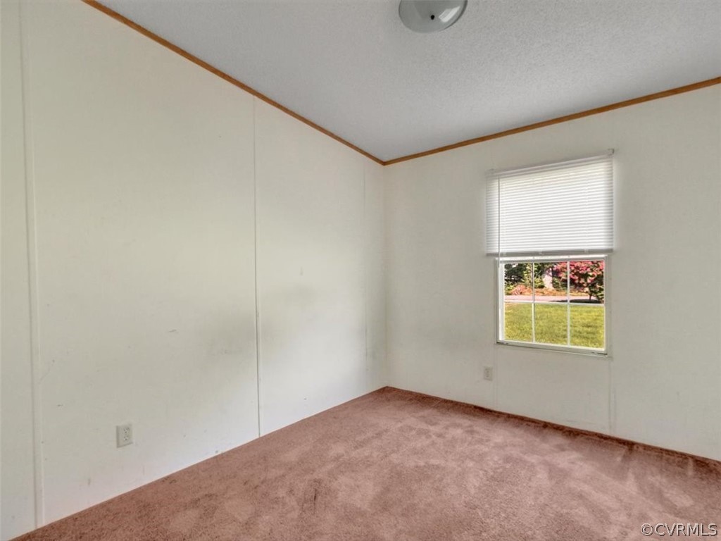 1225 Lebanon Road Spring Grove, VA 23881 - Photo 21 of 26 Gallery Image 21