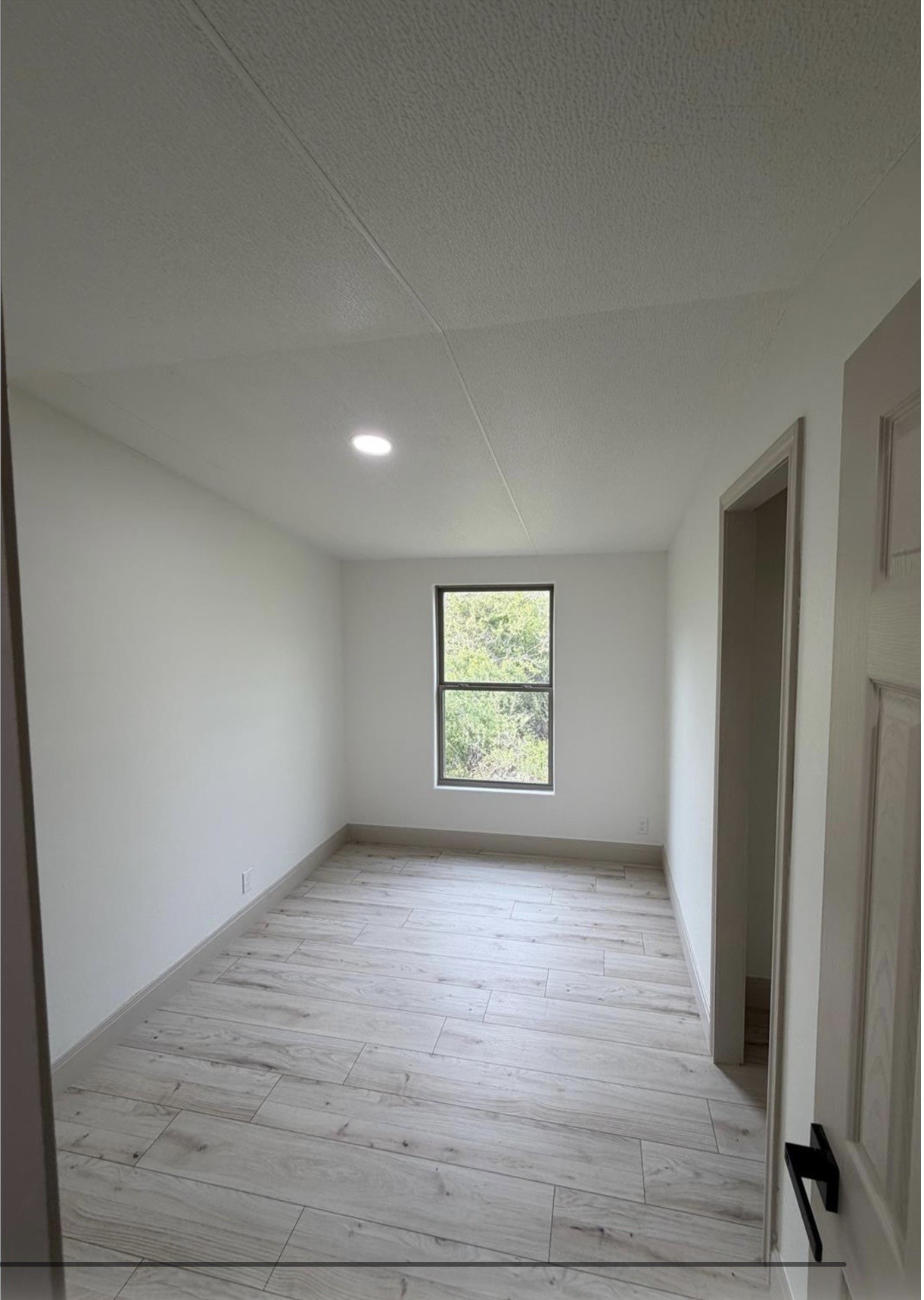 3323 Trefle Rue Rue, Unit RUE Rosharon, TX 77583 - Photo 9 of 18 Gallery Image 9