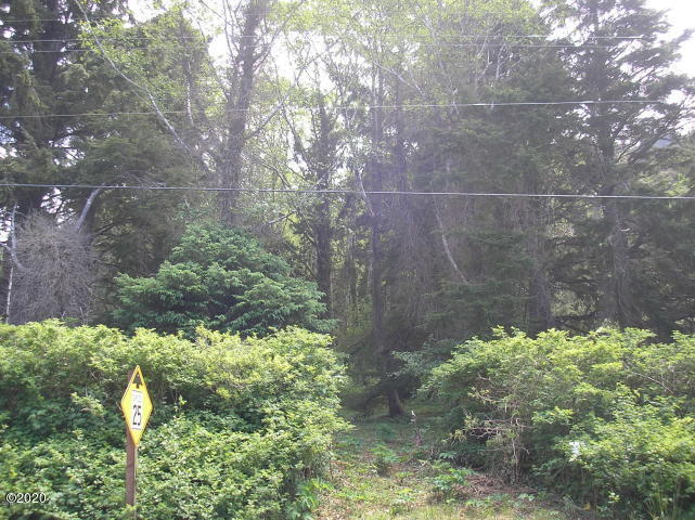 158 Highway 101 Yachats, OR 97498 - Photo 7 of 21 Hwy 101 Frontage