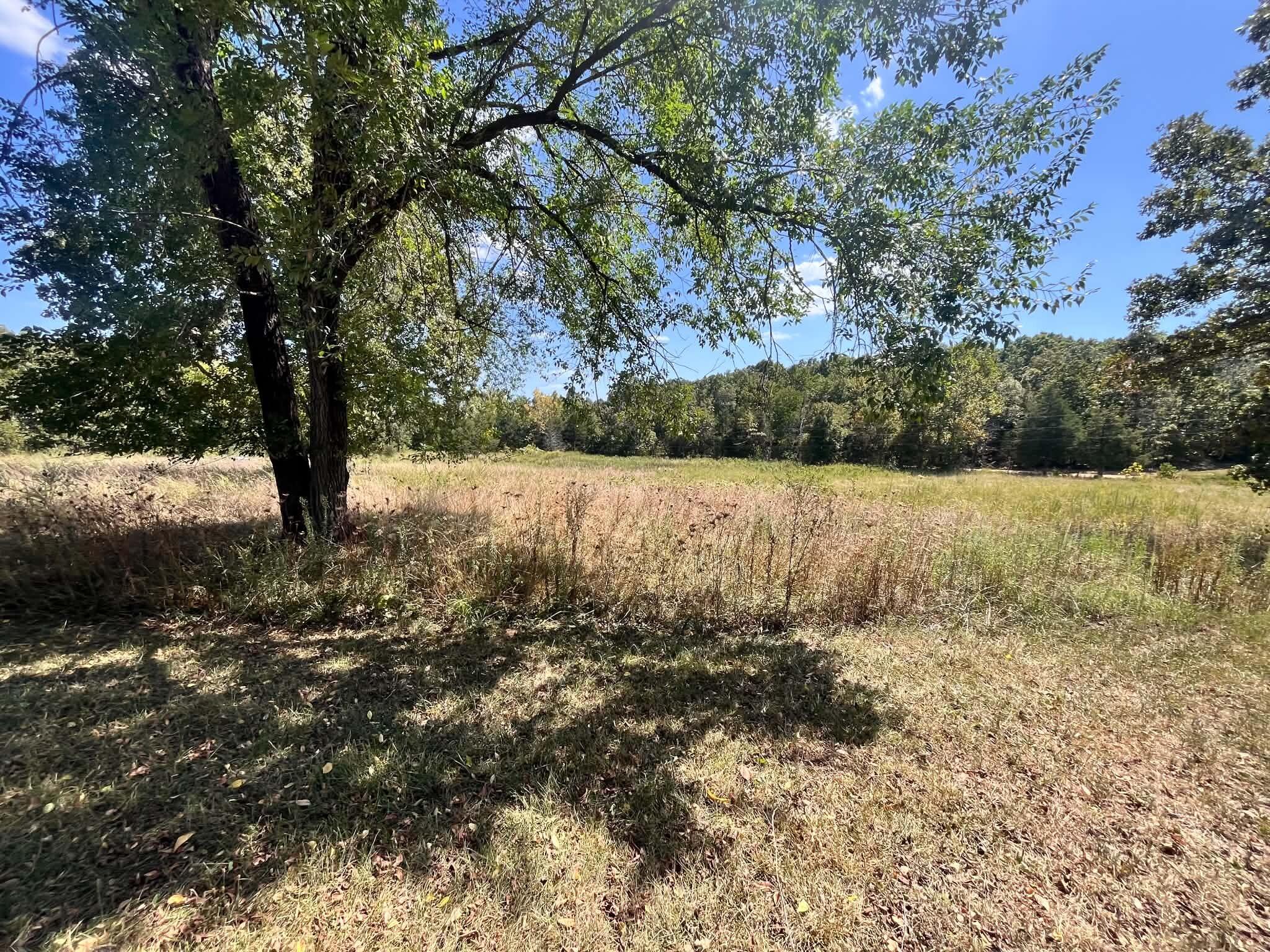 3065 North Camp Creek Road Mammoth Spring, AR 72554 - Photo 9 of 16 e5a99a13-5273-4f69-8151-f6754f27348d