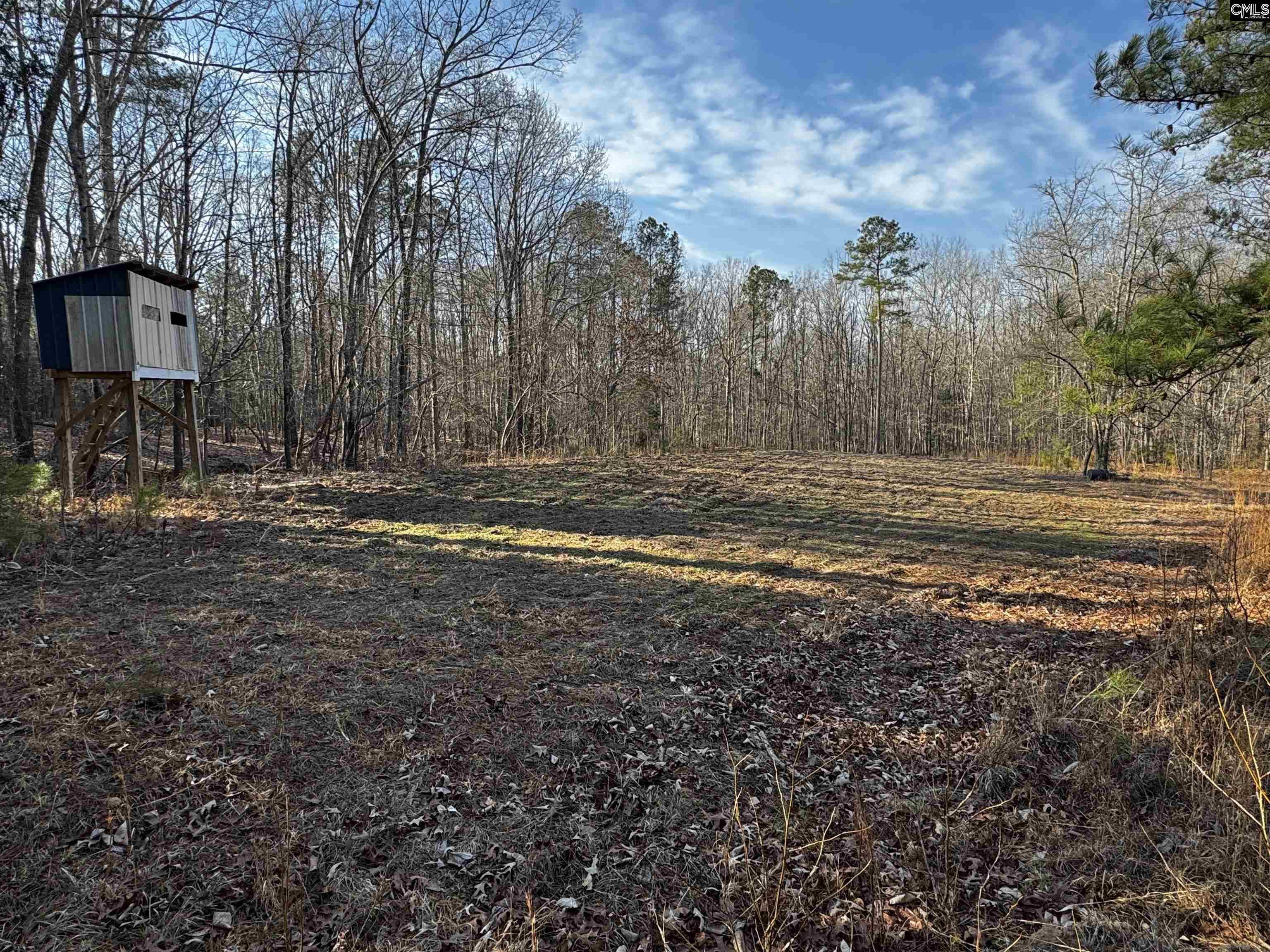 0 Mann Road Winnsboro, SC 29180 - Photo 10 of 22