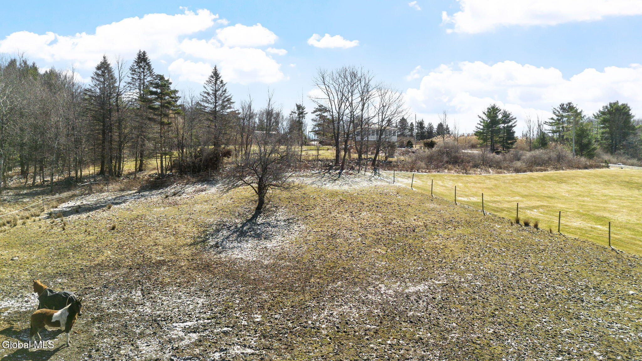 106 Mosher Road Sand Lake, NY 12153 - Photo 43 of 53 41-web-or-mls-106-mosher-rd