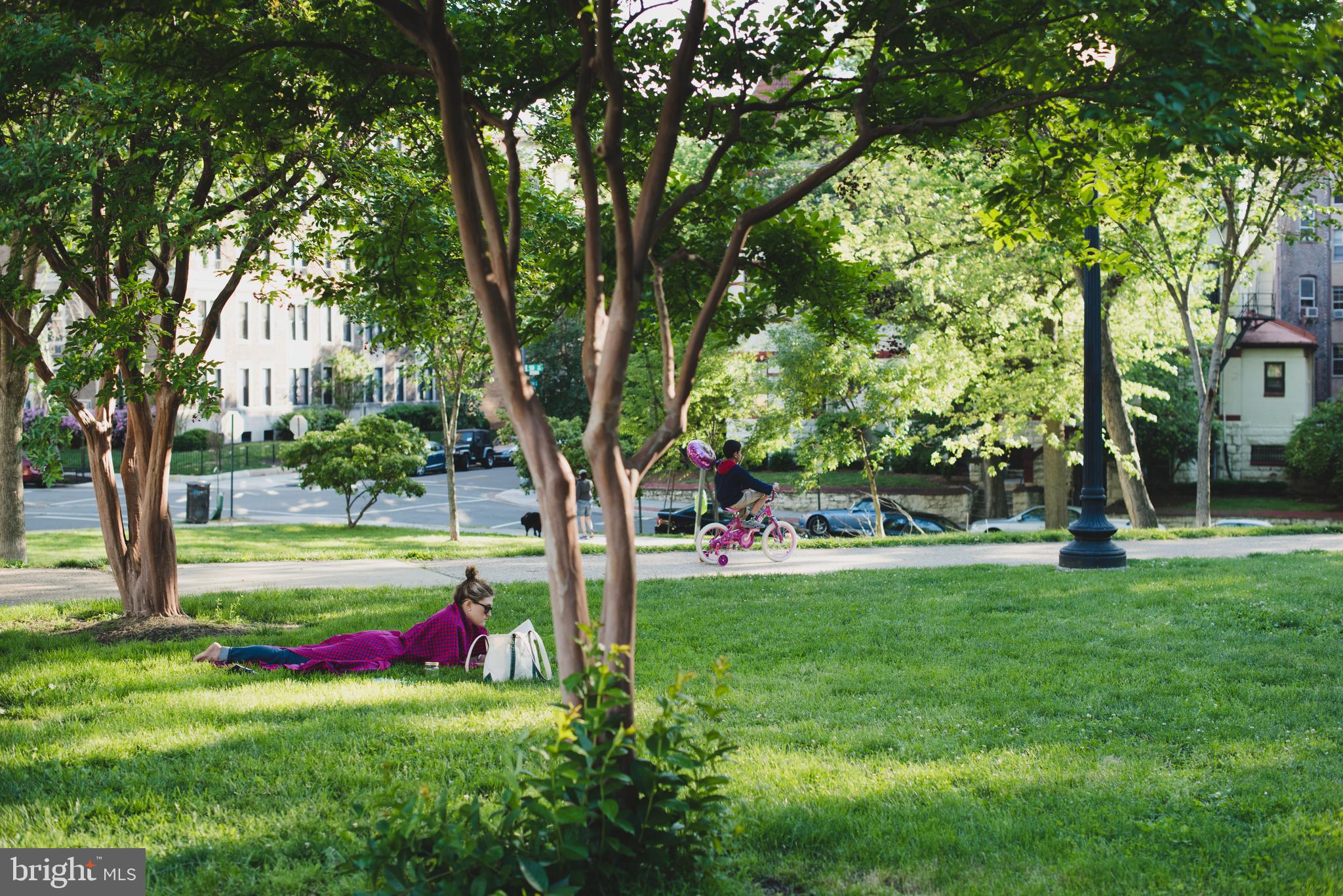 1845 Kalorama Road Northwest, Unit 1 Washington, DC 20009 - Photo 30 of 39 a view of a park with a tree
