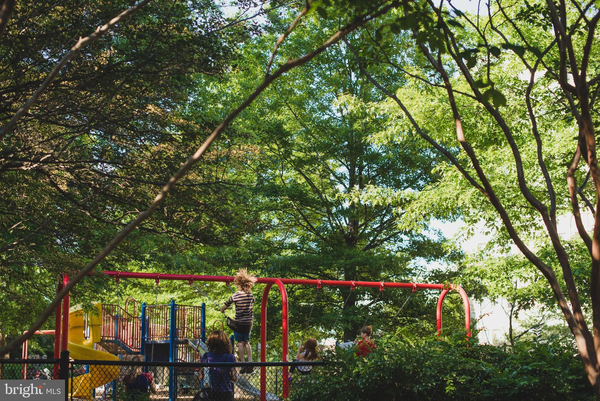 1845 Kalorama Road Northwest, Unit 1 Washington, DC 20009 - Photo 31 of 39 a view of street with lots of trees