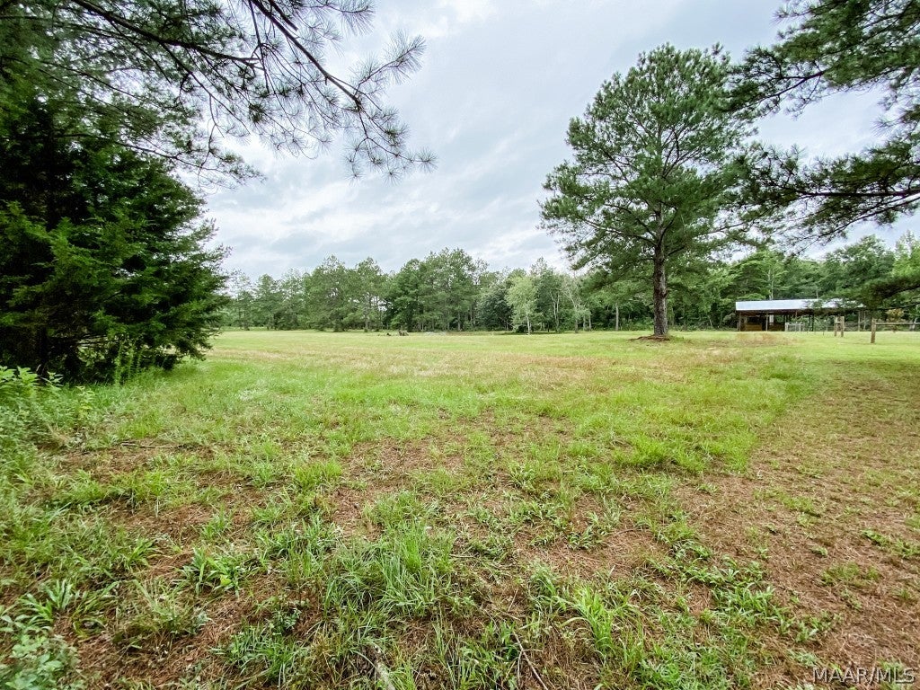 354 River Road Samson, AL 36477 - Photo 55 of 66 Gallery Image 55