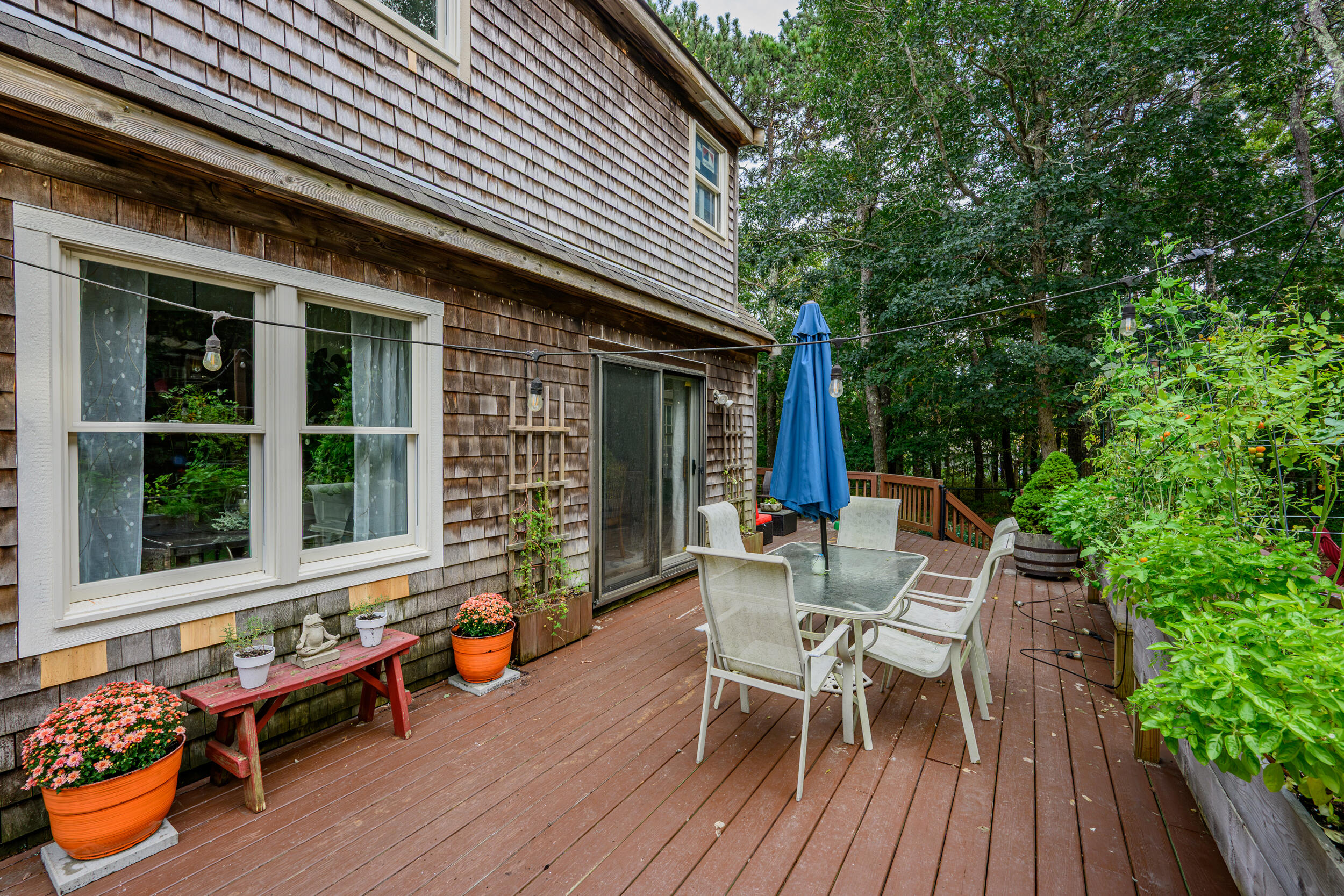 53 Kettle Hole Road West Barnstable, MA 02668 - Photo 54 of 61 94_dsc_6398
