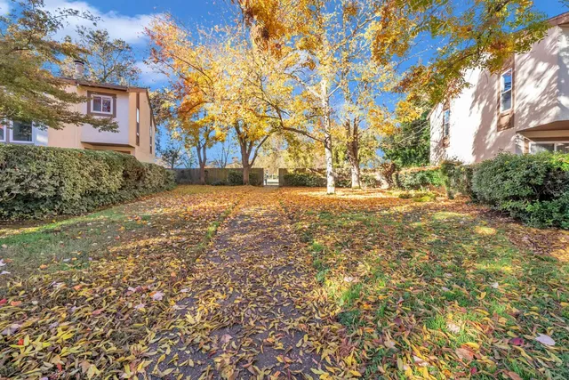 a backyard of a house with large trees