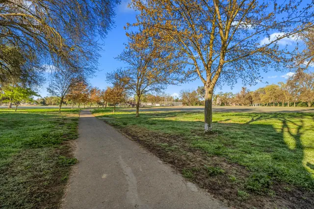 a view of a park with large trees