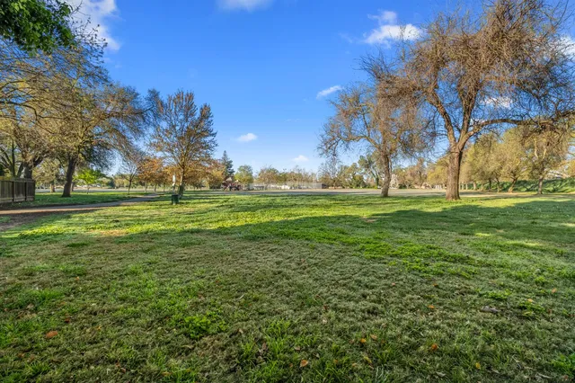 a backyard of apartments with large trees