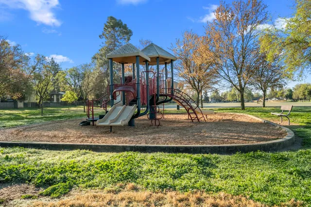 a view of a park with large trees
