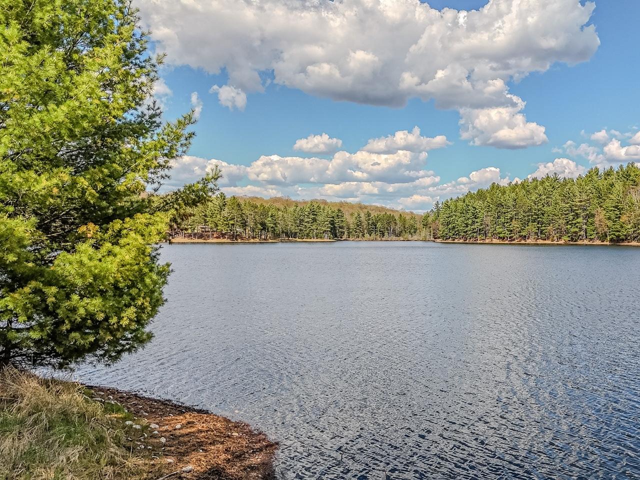 6466 High Lake Road Land O'Lakes, WI 54540 - Photo 38 of 46 Gallery Image 38