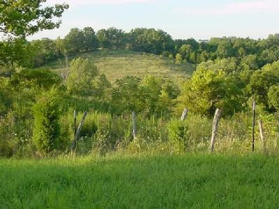 695 R Hazelton Road Corinth, KY 41010 - Photo 8 of 8